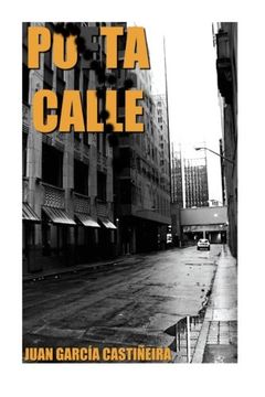 portada Poeta calle (Volveras al lugar donde nunca has estado) (Volume 3) (Spanish Edition)