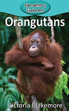 portada Orangutans (Elementary Explorers)