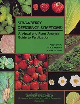 portada Strawberry Deficiency Symptoms: A Visual and Plant Analysis Guide to Fertilization (en Inglés)