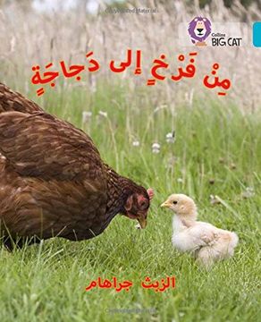 portada Chick to Hen: (Level 7) (Collins Big Cat Arabic)
