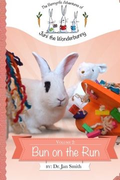 portada Bun on the Run: The Bunnyrific Adventures of Juni the Wonderbunny (Volume 2)