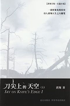 portada 刀尖上的天空(上) (en Inglés)