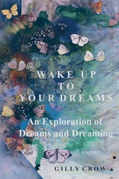 portada Wake up to Your Dreams (in English)