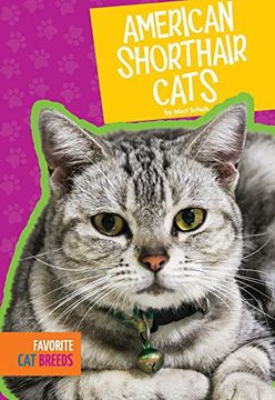 portada American Shorthair Cats (Favorite Cat Breeds)