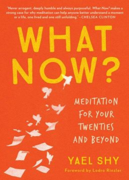 portada What Now? Meditation for Your Twenties and Beyond (en Inglés)
