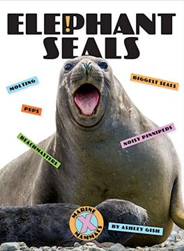 portada Elephant Seals (en Inglés)