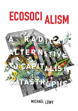 portada Ecosocialism: A Radical Alternative to Capitalist Catastrophe (en Inglés)