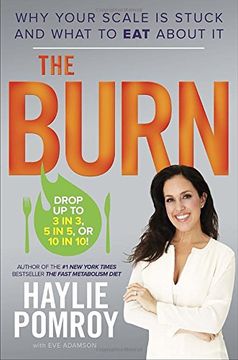 portada The Burn: Why Your Scale is Stuck and What to eat About it (in English)