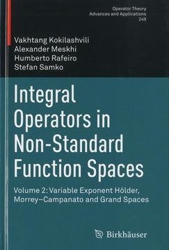 portada Integral Operators in Non-Standard Function Spaces: Volume 2: Variable Exponent Hölder, Morrey-Campanato and Grand Spaces (Operator Theory: Advances and Applications) (en Inglés)