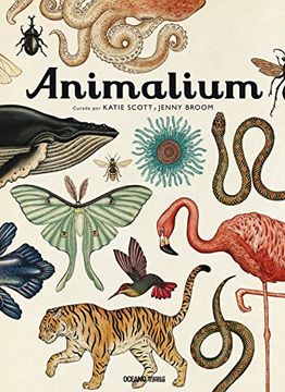 portada Animalium (in Spanish)