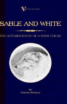 portada sable and white - the autobiography of a show collie (a vintage dog books breed classic) (en Inglés)