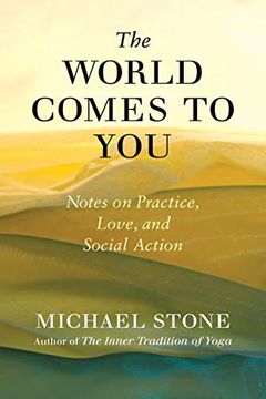 portada The World Comes to You: Notes on Practice, Love, and Social Action (in English)