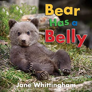 portada Bear has a Belly (Big, Little Concepts, 5) (in English)