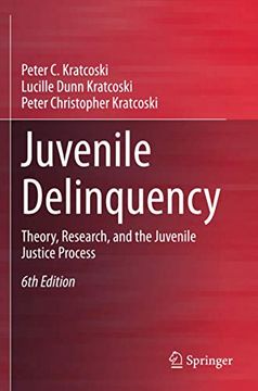 portada Juvenile Delinquency: Theory, Research, and the Juvenile Justice Process (in English)