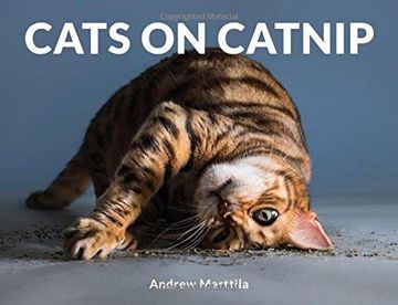 portada Cats on Catnip (en Inglés)