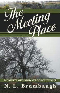 portada the meeting place: moments with god at lookout point