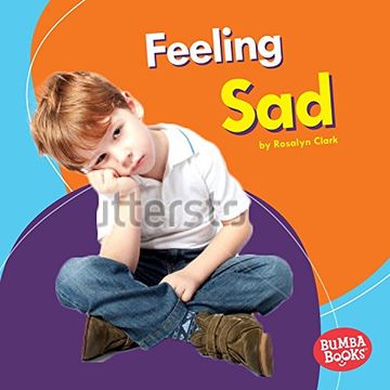 portada Feeling Sad (Bumba Books: Feelings Matter)