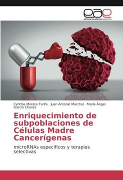 portada Enriquecimiento de subpoblaciones de Células Madre Cancerígenas: microRNAs específicos y terapias selectivas