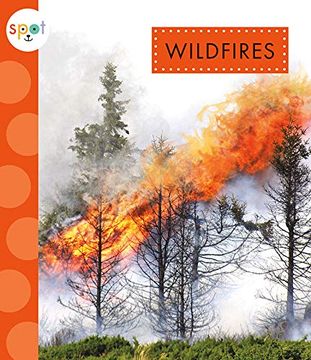 portada Wildfires (in English)