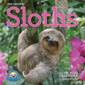 portada Original Sloths Mini Wall Calendar 2025: Celebrate Life in the Slow Lane