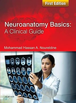 portada Neuroanatomy Basics: A Clinical Guide (en Inglés)