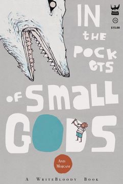 portada In the Pockets of Small Gods (in English)