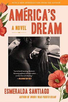 portada America's Dream: A Novel (in English)