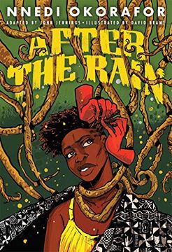portada After the Rain: Nnedi Okorafor (en Inglés)