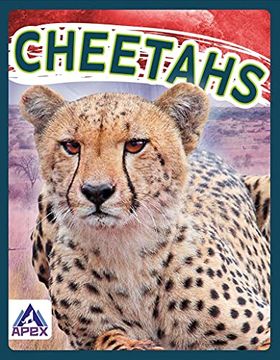 portada Cheetahs (in English)