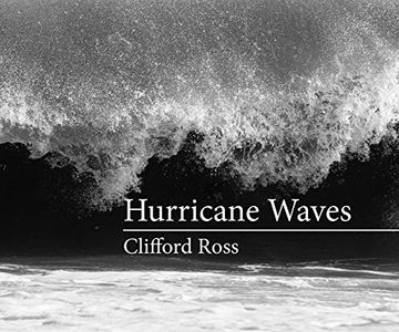 portada Hurricane Waves (The mit Press) (en Inglés)