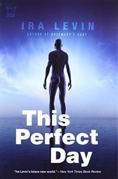 portada This Perfect day (in English)