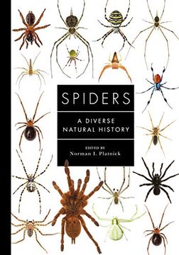 portada Spiders of the World: A Natural History (en Inglés)