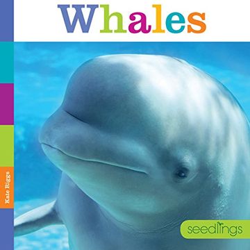 portada Seedlings: Whales