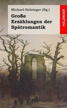 portada Große Erzählungen der Spätromantik (in German)