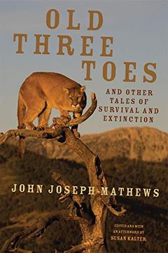 portada Old Three Toes and Other Tales of Survival and Extinction: 63 (American Indian Literature and Critical Studies Series) 