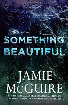 portada Something Beautiful: A Novella (in English)