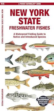 portada New York State Freshwater Fishes: A Waterproof Folding Guide to Native and Introduced Species (Pocket Naturalist Guides) (in English)