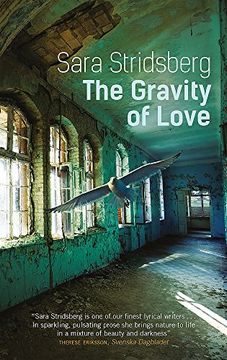 portada The Gravity of Love 