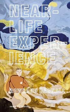 portada Near-Life Experience (in English)