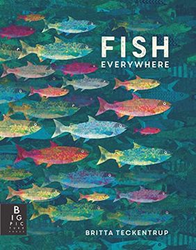 portada Fish Everywhere (Animals Everywhere) (en Inglés)