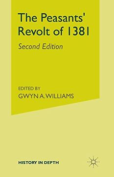 portada The Peasants' Revolt of 1381 (History in Depth) (en Inglés)