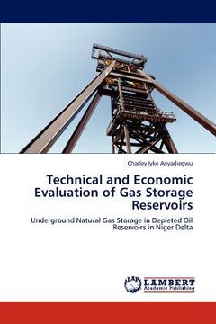 portada technical and economic evaluation of gas storage reservoirs (en Inglés)