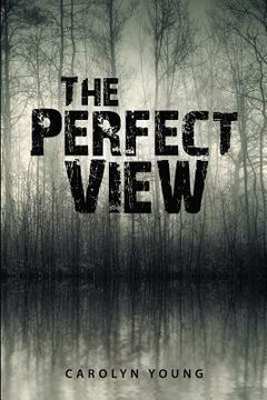 portada The Perfect View (en Inglés)