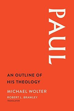 portada Paul: An Outline of his Theology (en Inglés)