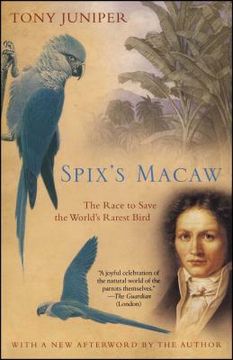 portada Spix's Macaw: The Race to Save the World's Rarest Bird (in English)