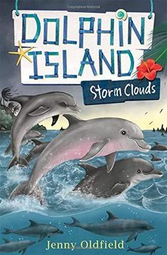 portada Dolphin Island: Storm Clouds: Book 6 (Paperback) (en Inglés)
