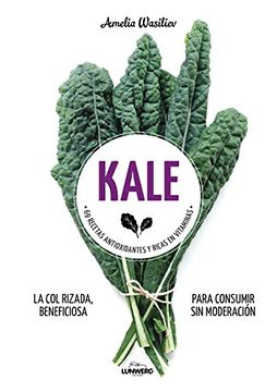 portada Kale: 69 Recetas Antioxidantes y Ricas en Vitaminas (in Spanish)