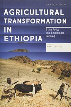 portada Agricultural Transformation in Ethiopia: State Policy and Smallholder Farming (Africa Now) 