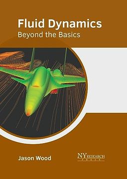 portada Fluid Dynamics: Beyond the Basics (en Inglés)