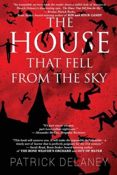 portada The House That Fell From the sky (en Inglés)